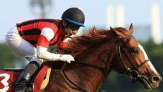 アルゼンチン共和国杯は過去の激走３パターンに合致した３頭で勝負だ