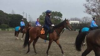 【京王杯2歳S】グレイトホーン 菜七子「良い結果を残したい」