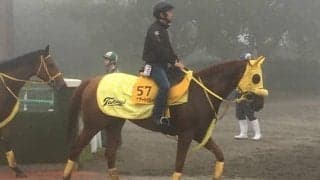 【みやこS】アナザートゥルース 1800m戦で全6勝