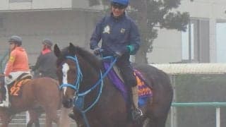 【アルゼンチン共和国杯】オジュウチョウサン 和田郎師「松岡騎手が思い切った競馬をしてくれれば」