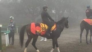 【アルゼンチン共和国杯】トラストケンシン 53キロ軽量で上位を狙う