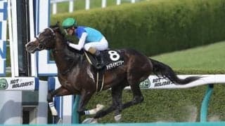 穴党記者が占うみやこＳ。王者インティに一発かますのはこの４頭だ