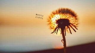 退職者に「帰って来いよ！」アルムナイ制度のススメ！