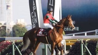 【京王杯2歳S】国分優「申し訳ない気持ち」マイネルグリットは9着