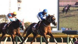 【京王杯2歳S】売り上げ前年比アップ！タイセイビジョンが重賞初制覇！