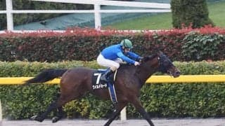 【錦秋S】ワイルドカードが圧勝！ルメールは本日の4勝目