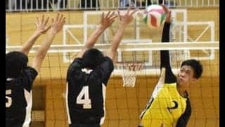 【春高バレー】男子・天理など８強進出　奈良大会
