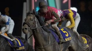 【JBCクラシック】オメガパフュームは3枠3番