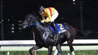 【JBCスプリント】枠順と見どころ 菜七子コパノキッキングは7枠10番