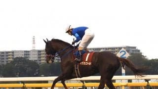 【アルゼンチン共和国杯】ルメール「重賞は勝てそう」直線伸びるも3着まで