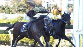 【JBCスプリント】ブルドッグボスが差し切り！菜七子は惜しい2着