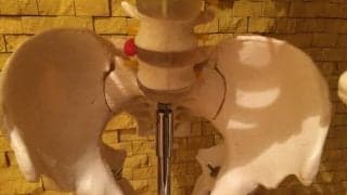 男性の骨盤底筋の特徴とは