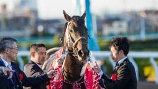 【JBCクラシック】川田「ダート界のトップクラス」チュウワウィザードが初G1V！