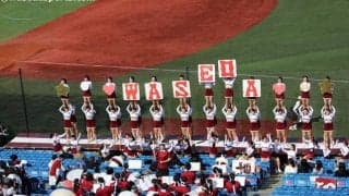 ４年生最後の早慶戦　涙と笑顔の応援席