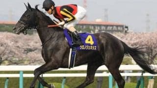 エリザベス女王杯は４歳馬が手薄。勢いのある３歳馬でより有力なのは？