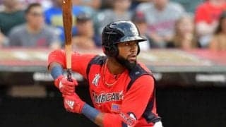 【プレミア12】MLB超有望株アデル「日本は最高だ」　ファンからは“ココイチ”の勧め
