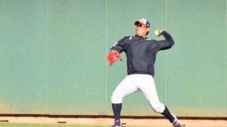 【プレミア12】侍ジャパン稲葉監督も驚いた！　自主練習に28人中22人が参加「思った以上に」