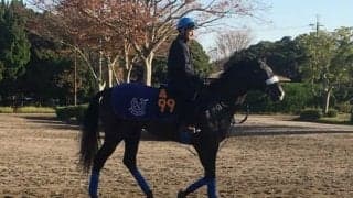 【デイリー杯2歳S】サクセッション  国枝師「余裕のある動き」