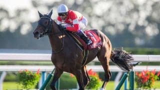 【デイリー杯2歳S】武豊騎乗 レッドベルジュールが最内強襲！重賞初V