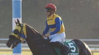 【武蔵野S】川田「内枠が…」エアアルマスは見せ場なく11着敗退