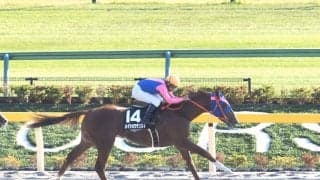 【オキザリス賞】4番人気のメイショウテンスイがデビュー2連勝！