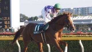 【武蔵野S】森泰斗「やっぱり59キロ」レース後ジョッキーコメント