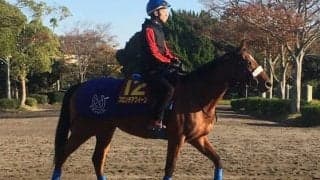 【エリザベス女王杯】フロンテアクイーン 前哨戦2着で好調