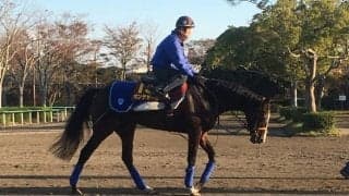 【エリザベス女王杯】良血ポンデザール 連勝を伸ばせるか