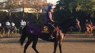 【エリザベス女王杯】ゴージャスランチ 鹿戸師「体調の良さを生かして」