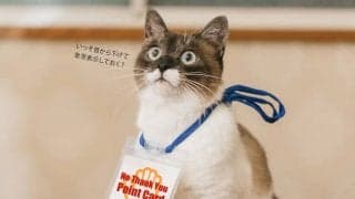 【多様な働き方を研究するコラム】「ポイントカードはお持ちですか？」をめぐる論争