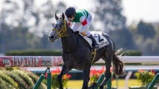 【新馬/京都5R】グランデマーレが圧倒的人気に応える！