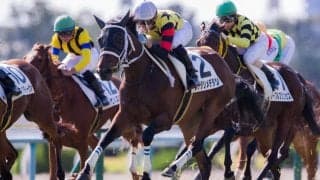 【新馬/京都4R】9番人気メデタシメデタシがデビュー勝ち！