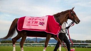【エリザベス女王杯】Mデムーロ「勝った馬は強かったです」レース後ジョッキーコメント