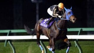 【盛岡・南部駒賞】北海道のモリノブレイクが快勝