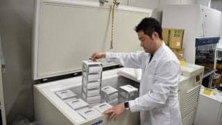 腸活で美と健康をキープ！カギは「酪酸菌」と「菌の豊富さ」