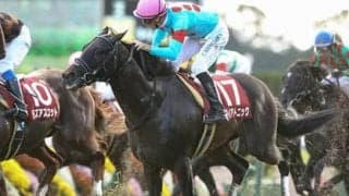 マイルCSで狙える穴馬は「上がり馬」「３歳馬」「リピーター」の３頭
