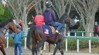【東スポ杯2歳S】リグージェ 木村師「不安はない」