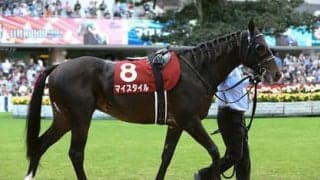 マイルCSの歴史、舞台、展開…を読み切った穴党記者が推す３頭の穴馬