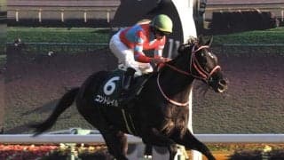 【東スポ杯2歳S】コントレイルがレコードV！