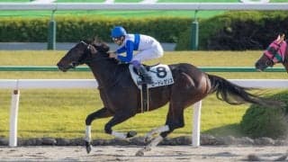 【京都8R】武豊 ロードレガリスが圧倒的人気に応える