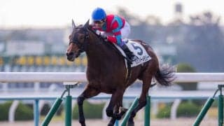 【京都4R】武豊 リメンバーメモリーが初勝利！