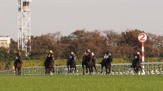 【東スポ杯2歳S】ビュイック「適性の差」レース後ジョッキーコメント