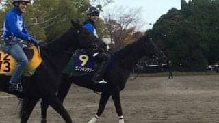 【マイルCS】ダノンキングリー 萩原師「マイル適性は非常にある」