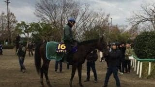 【マイルCS】レイエンダ 兄弟G1制覇の偉業なるか