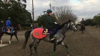 【マイルCS】エメラルファイト 相沢師「前走よりも脚を溜めるような…」