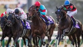 【マイルCS】インディチャンプがマイルG1春秋連覇達成！池添「絶対勝つんだという気持ちで騎乗した」