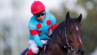 【マイルCS】池添「状態も凄く良かった」インディチャンプが春秋マイルG1制覇！