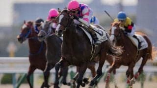 【新馬/京都6R】キンシャサノキセキ産駒 シャイニーズランがデビュー勝ち！