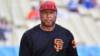 中日、球団OBのパウエル氏が打撃巡回コーチ就任…各球団発表、18日の人事は？