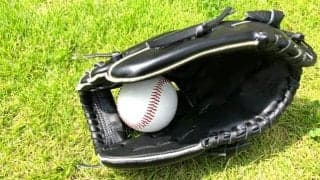 これじゃトレード？！ロッテと楽天でFA宣言選手同士が入れ替わる事態に